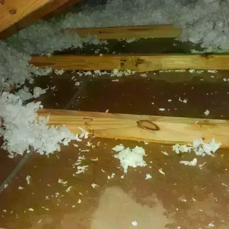 Attic Water Damage in Indian Wells, CA