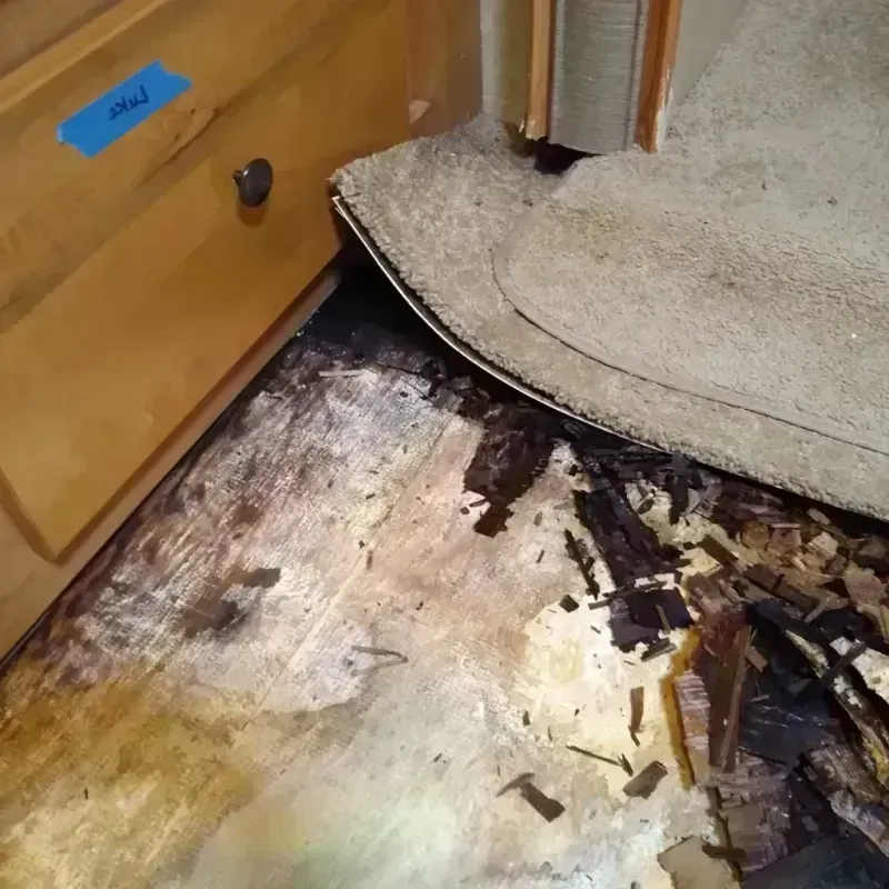 Best Wood Floor Water Damage Service in Indian Wells, CA